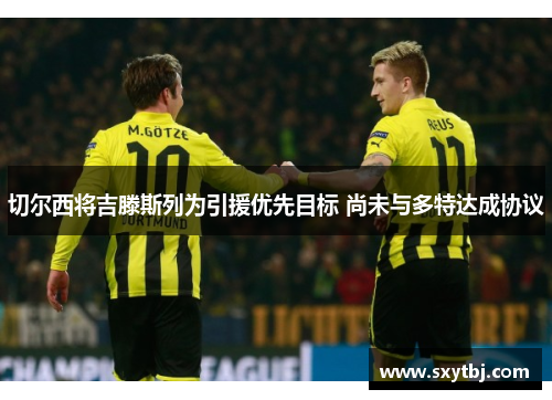 切尔西将吉滕斯列为引援优先目标 尚未与多特达成协议