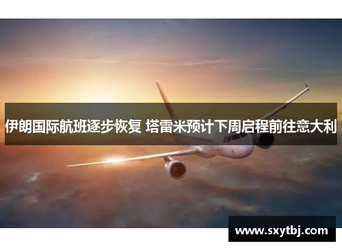伊朗国际航班逐步恢复 塔雷米预计下周启程前往意大利